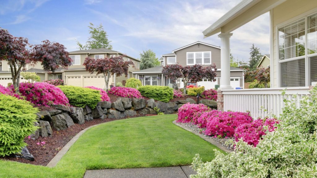 Suburban lawn and garden with lush greenery, blooming pink flowers, and neatly trimmed hedges, adjacent to a porch with white railings under a partly cloudy sky.