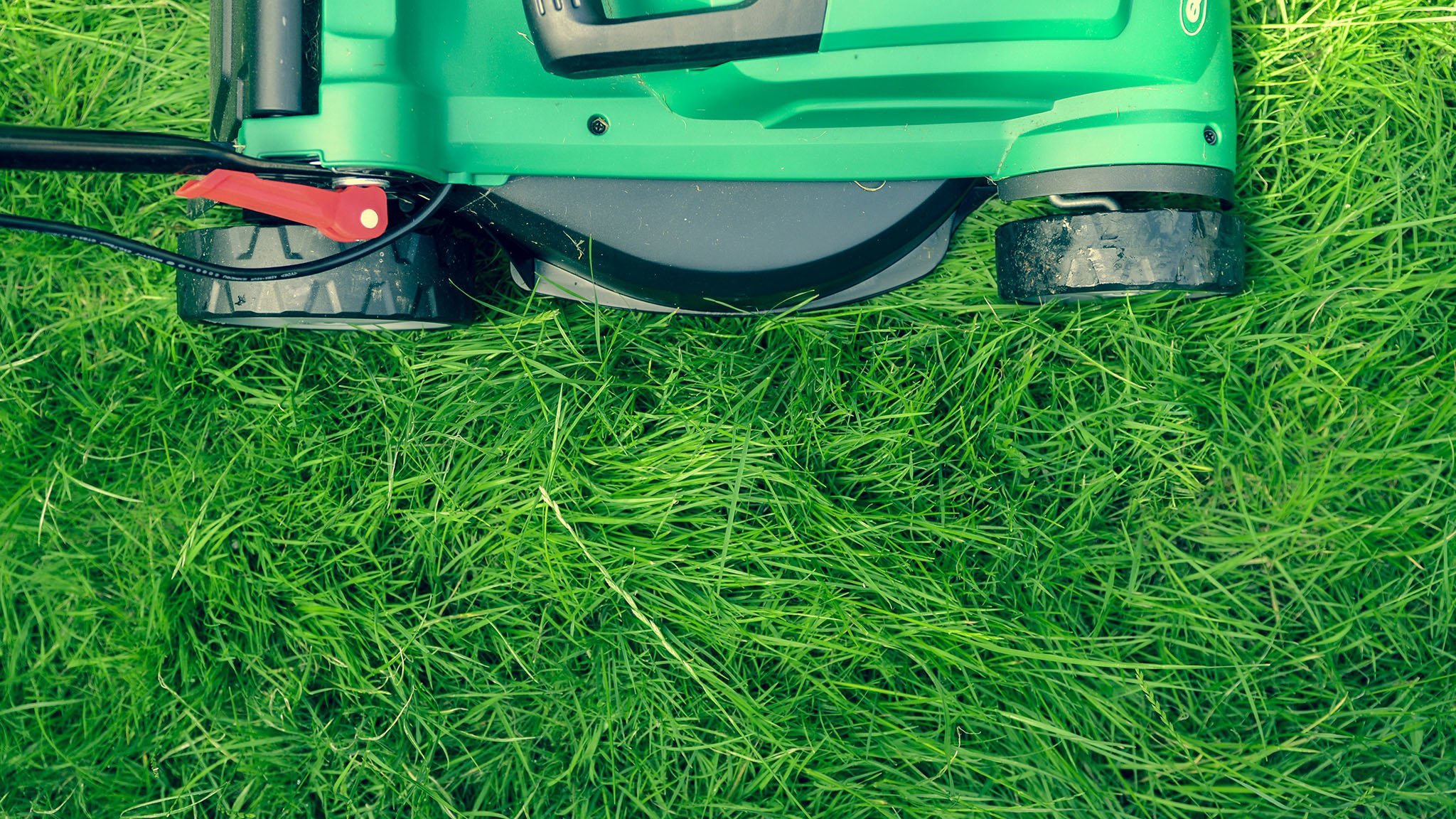 A green lawnmower on tall grass, partially cutting the lawn.