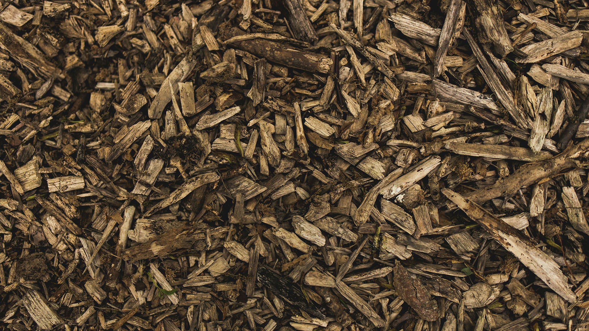 A close-up view of a pile of wood chips and bark mulch, showing various sizes and textures of natural brown wood pieces.