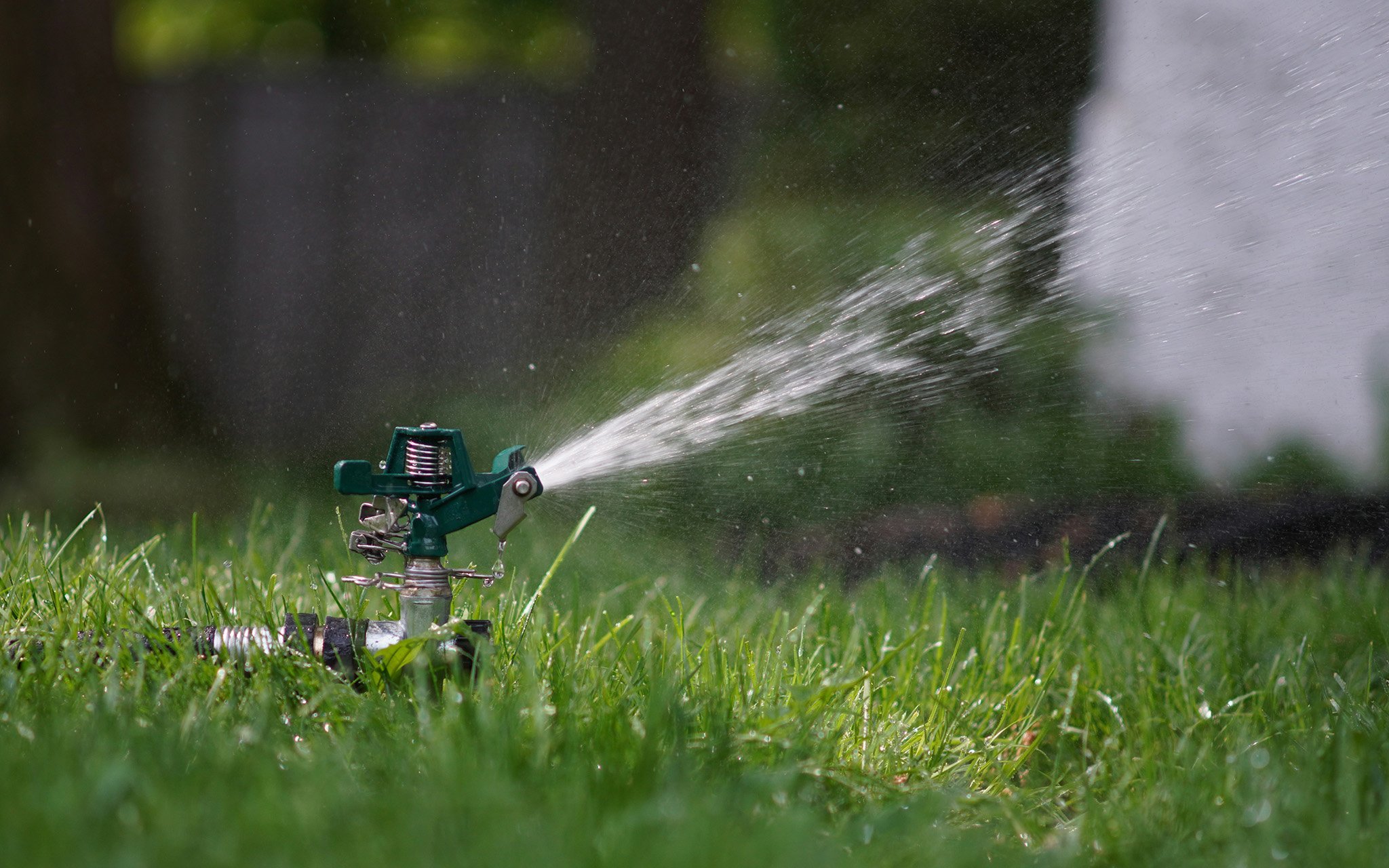 A green lawn sprinkler sprays water onto grass, with water droplets visible in the air and a blurred background of trees and a fence.